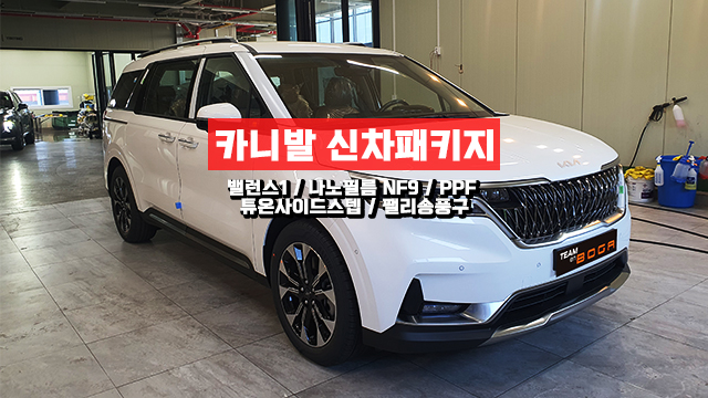  인천서구 카니발 신차패키지 튜온사이드 스텝까지!