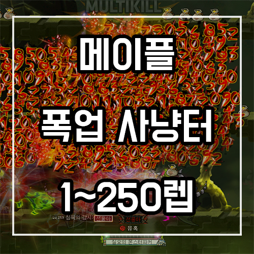 메이플스토리 폭업사냥터 추천 (1~250렙) 메이플스토리 폭업사냥터 추천 (1~250렙)