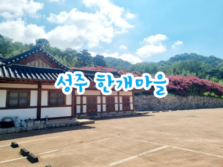  성주가볼만한곳 한개마을 (feat. 배롱나무 뷰맛집)