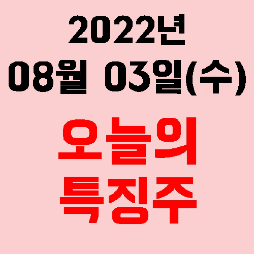 오늘의 시장 특징주 2022년 08월 03일(수)