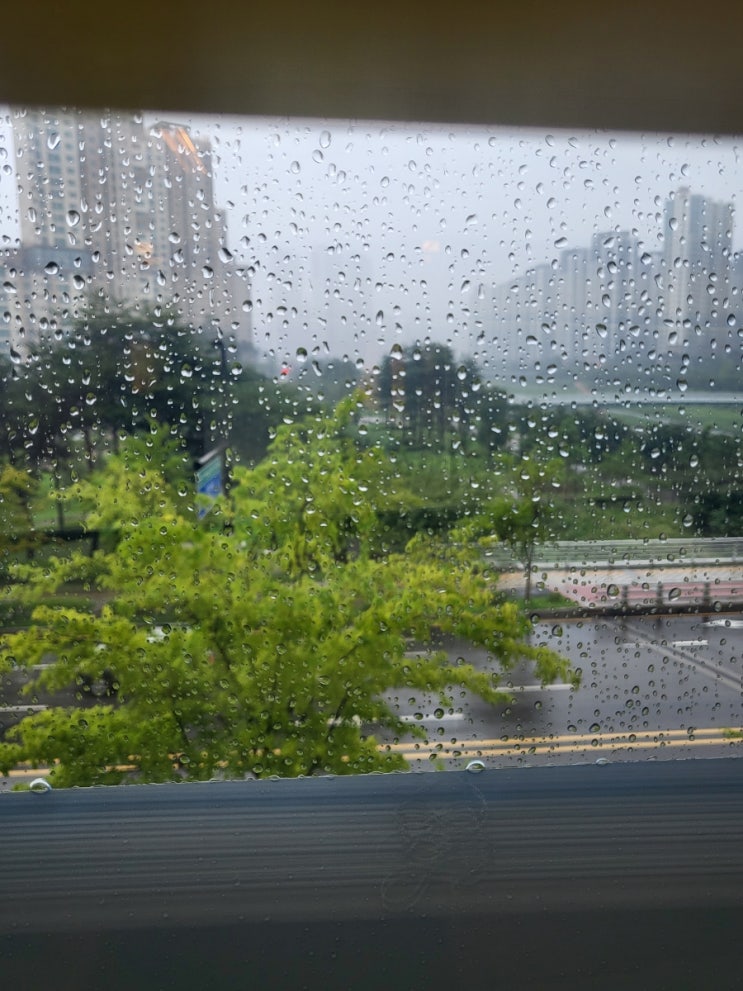  그냥 심심해서 쓰는 월급루팡의 하루 일과
