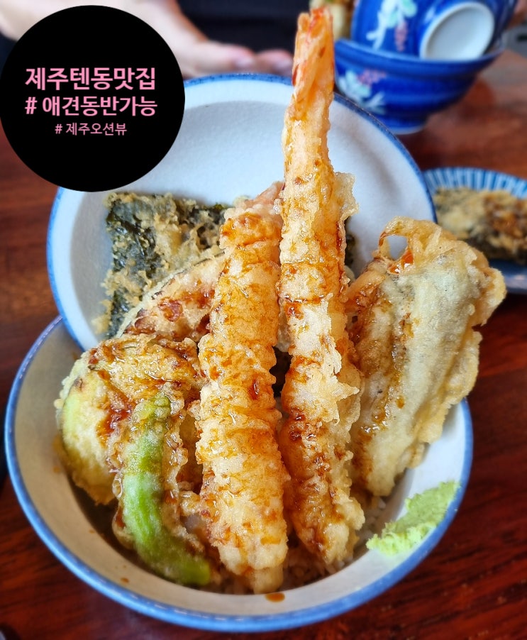  제주텐동맛집 제주애견동반맛집 제주오션뷰 513텐동.