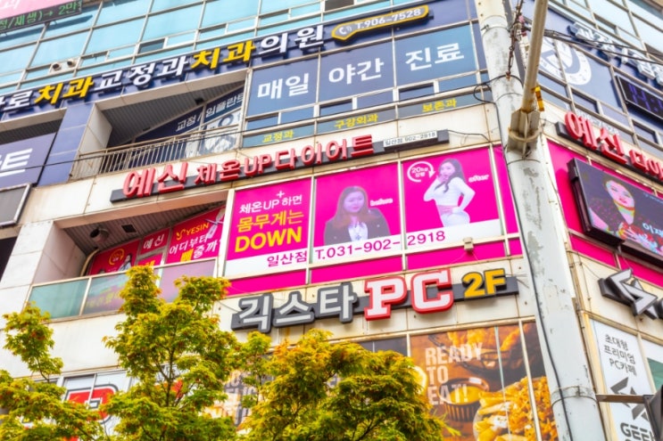  일산다이어트 예신다이어트에서 제대로 감량