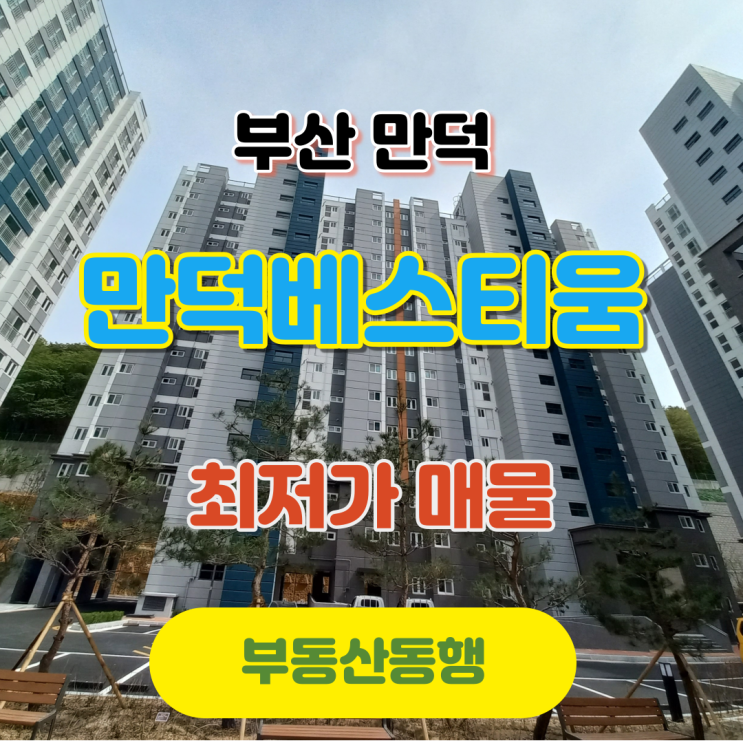  부산 북구 아파트 분양 / 만덕베스티움 최저가 매물 안내(feat. 신축아파트)