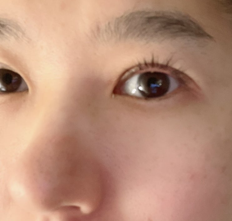  [뷰러추천]라네즈 아이래시 컬러 뷰러:꼬막눈 뷰러
