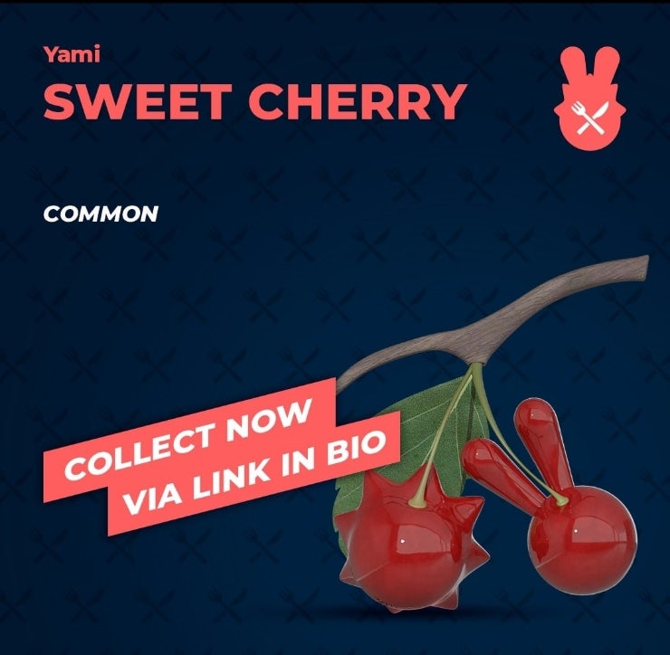 치코앤로코(chikoroko), OpenSea예정, 무료NFT 매일1개 지급, 8월3일 NFT(Gift of the Day) - YAMI - Sweet Cherry