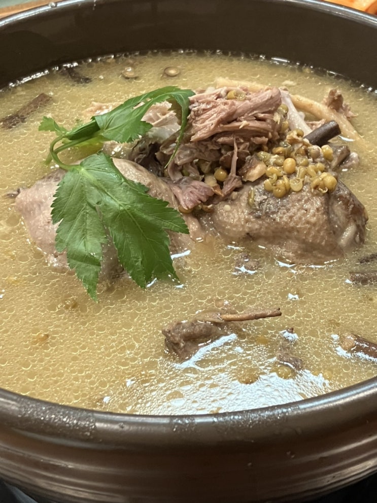  [김해삼계][맛집] 오리고기는 금동가 - 녹두 한방오리 백숙