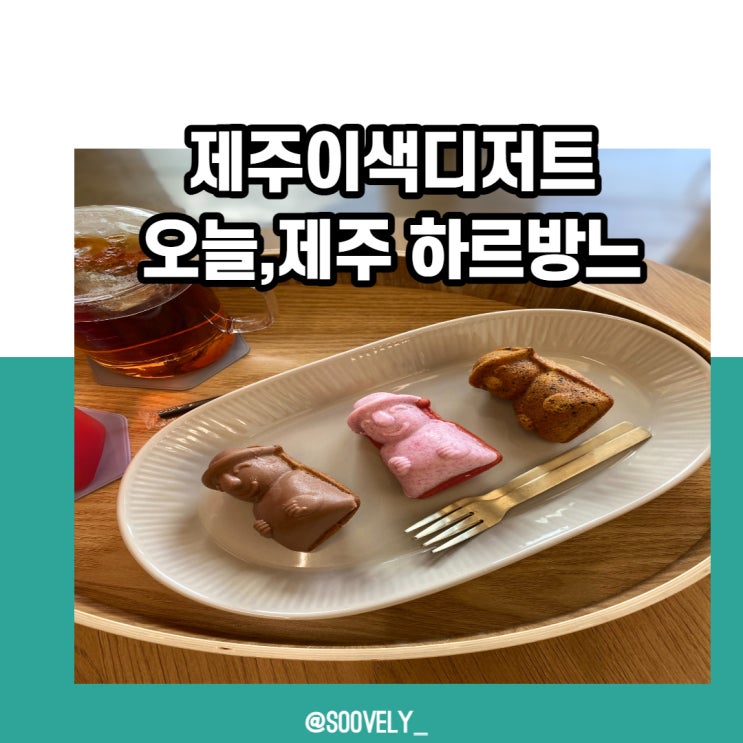  제주이색디저트 오늘제주 하르방느 제주선물 추천해요