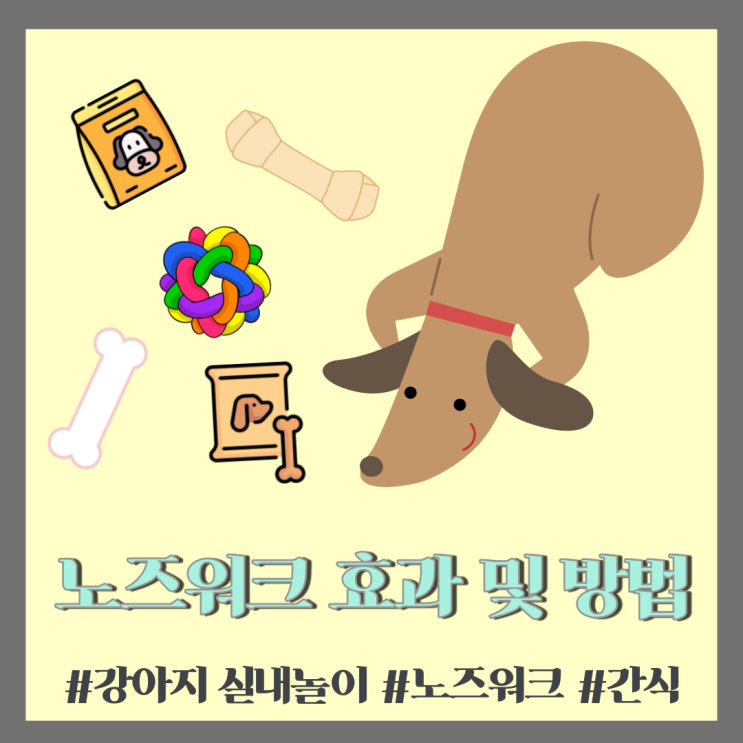  반려견 정보] 노즈워크 효과 및 노즈워크 방법