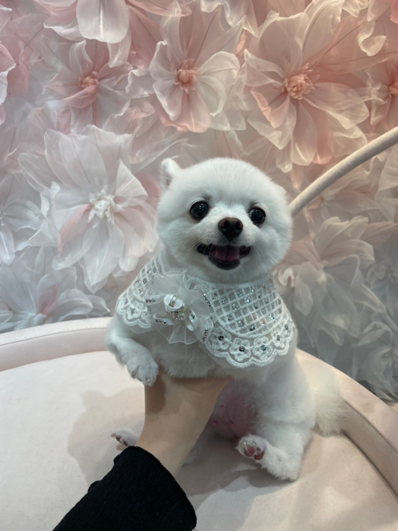 사진 7