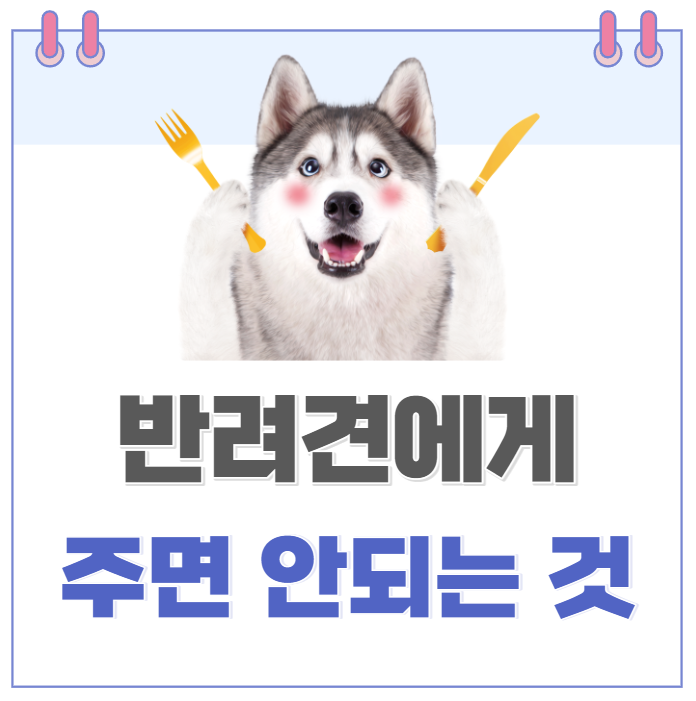 반려견에게 주면 안되는 음식