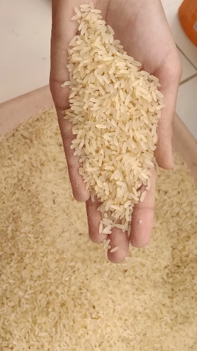쌀값은 점점 떨어지는데 즉석밥들은 오른다!?