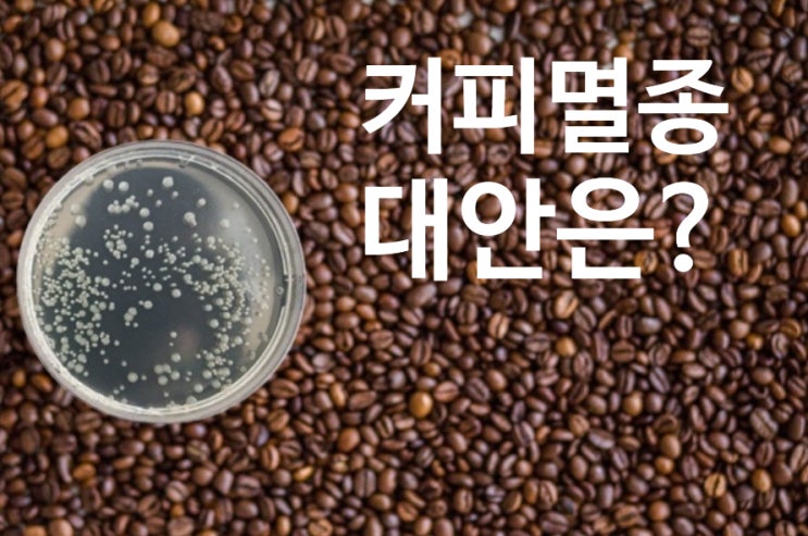  커피 가격이 오르는 이유? 2080년 야생 커피 대부분 멸종 예상. 커피 멸종 대안은?