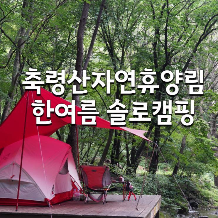  축령산자연휴양림 야영장 208번 작은 계곡 옆. MSR허바허바와 제로그램 헥사실타프로 숲캉스.