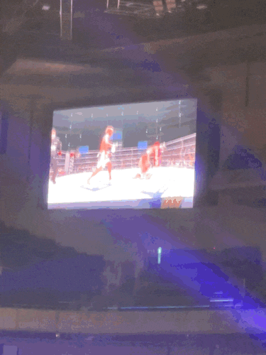  일본 RIZIN 라이징 37 (SBC 클리닉 쿠폰有り)