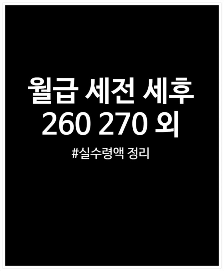  월급 260 270 280 290 세전 세후 실수령액 정리해 봄