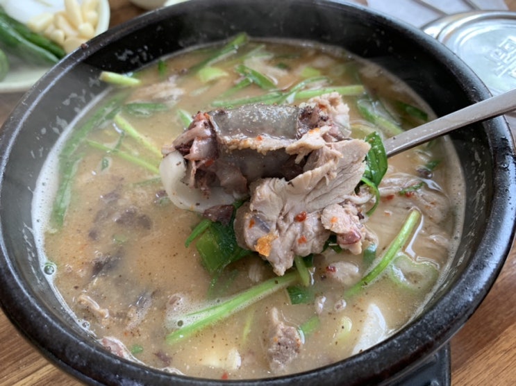 해운대 좌동 장산역 국밥추천! 병천순대국밥 깔끔한 국물에 순대와 고기양도 많아서 갈 때마다 만족하며 먹어요 (+ 메뉴, 위치, 맛 후기) 해운대 좌동 장산역 국밥추천! 병천순대국밥 깔끔한 국물에 순대와 고기양도 많아서 갈 때마다 만족하며 먹어요 (+ 메뉴, 위치, 맛 후기)