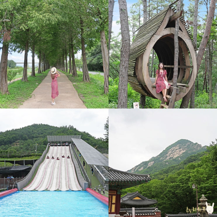  공주 가볼만한곳 연미산 자연미술공원 동학사 계곡 공주 여행 코스 6곳
