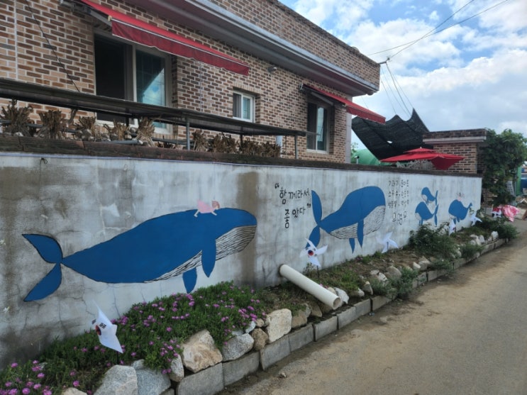  경남 창원 동부마을 우영우 소덕동 팽나무