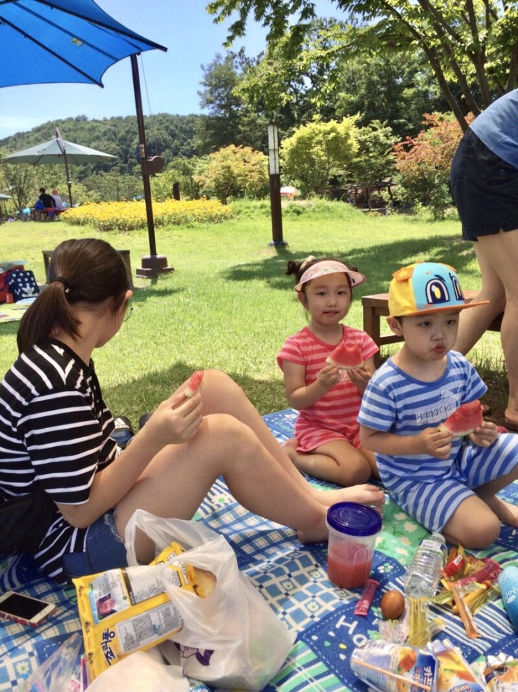 순간포착 8월 3일에 이런일이 | 슬쌍디아빠 과거로의 산책