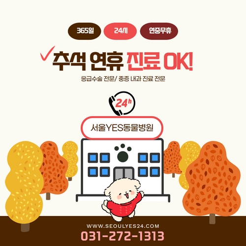  서울예스동물 병원은 추석 연휴 진료 합니다!  365일 24시 연중무휴 (용인 수지 죽전 동탄)