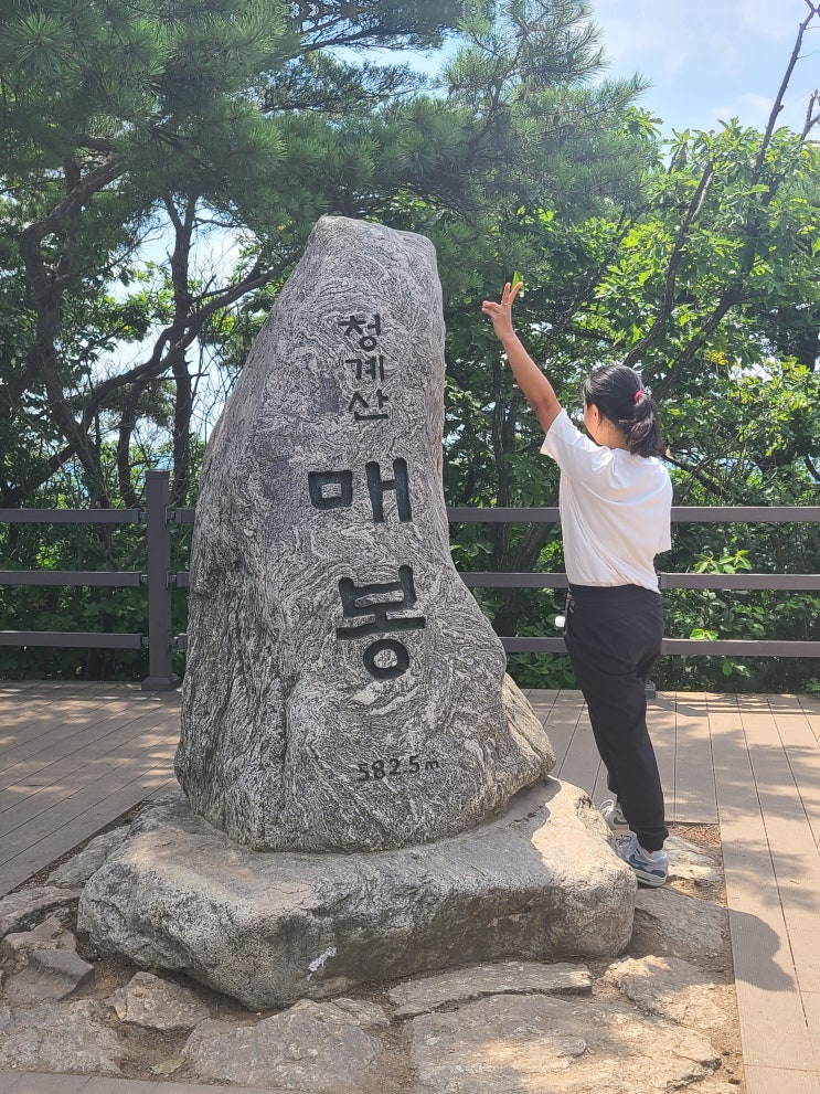  7월 다섯째 주 주간일기 산과 바다와 함께하는 시간