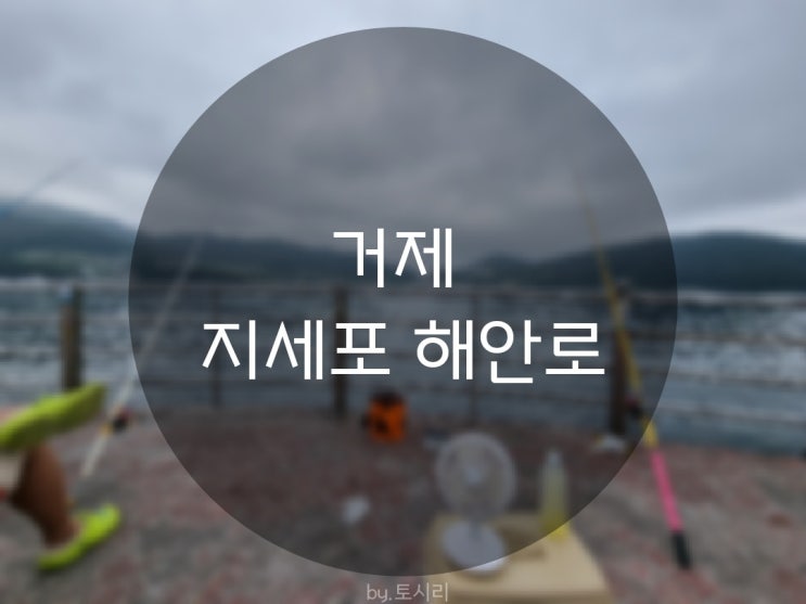  [원투낚시] 거제 지세포해안로/생활낚시/지세포방파제/낚시