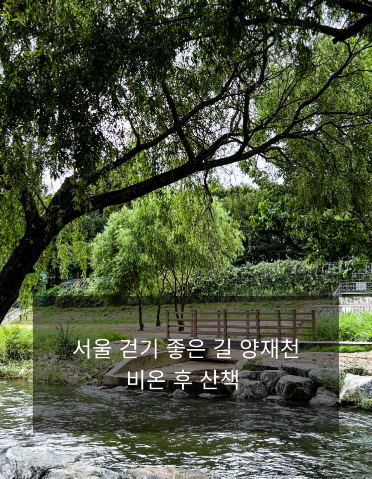 서울 걷기 좋은 길 / 비온 후 양재천 산책과 휴식