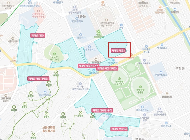  대전 대흥2구역 입주권 84A타입 안내