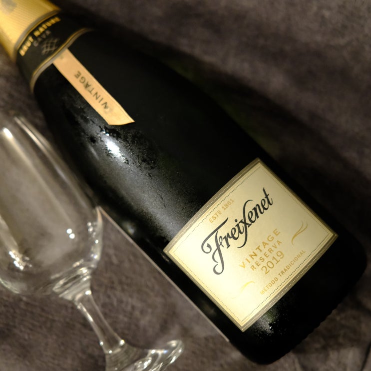  스파클링 와인 : 프레시넷 빈티지 레세르바 2019(Frexinet - Vintage Reserva 2019)