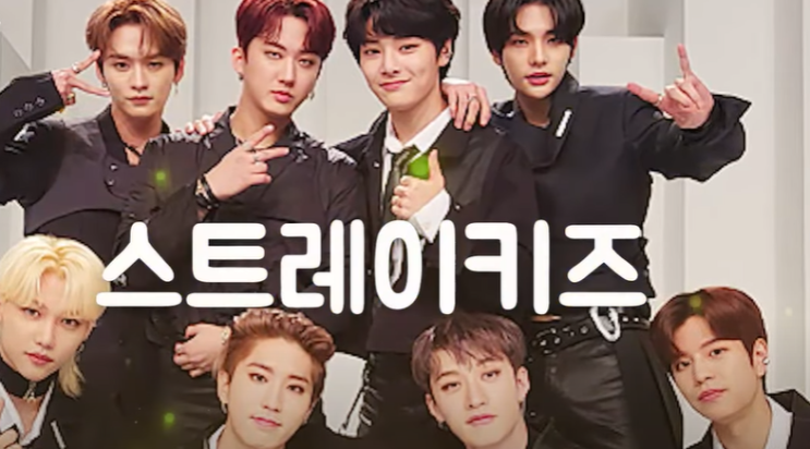 스트레이키즈 아육대 팬 사비 19만원 현수막 제작 스태프 갑질 논란 JYP 사과 스트레이키즈 아육대 팬 사비 19만원 현수막 제작 스태프 갑질 논란 JYP 사과