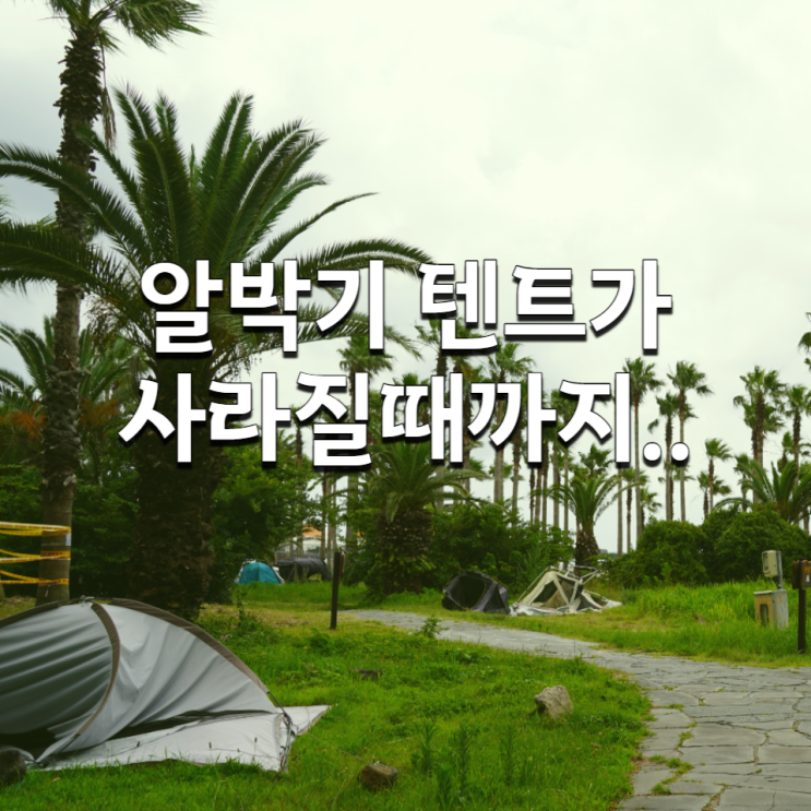  무료 야영장에 알박기 텐트가 사라질 때까지
