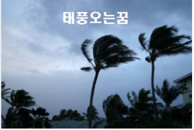  태풍꿈 태풍오는꿈 해몽
