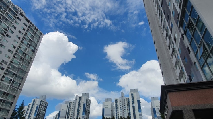  명품구름