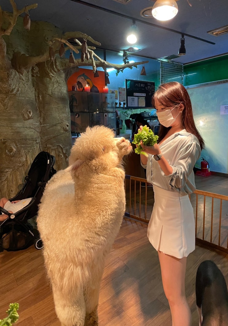  <울산>아이와함께가볼만한곳 ‘와우쥬 찐후기’ 꼭봐야함!