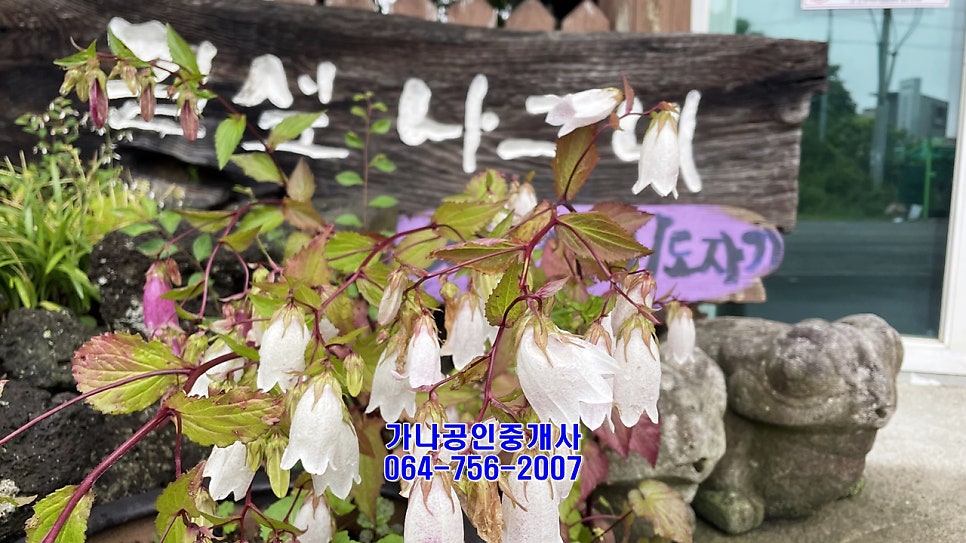 길섶나그네식당 사진 2