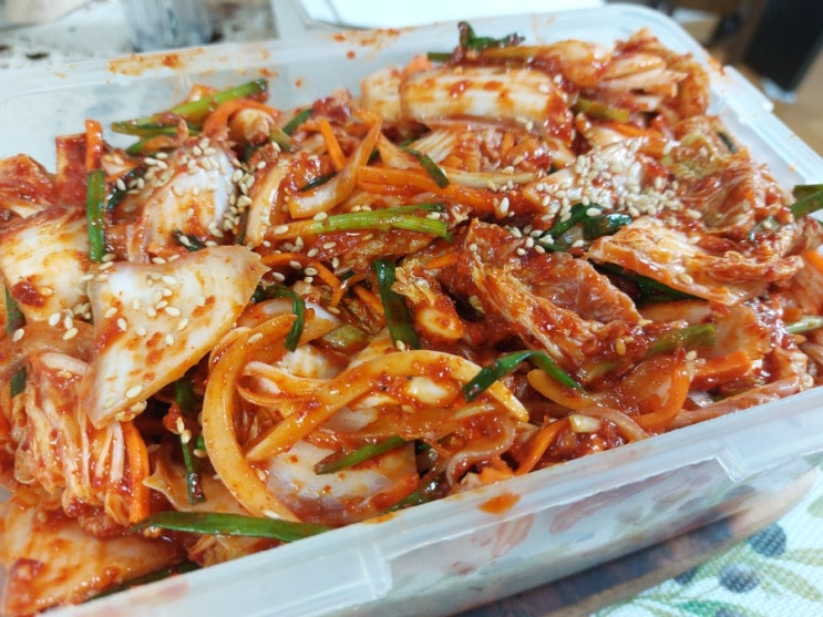 알배기김치 쌈배추 김치 여름김치 담그기 알배기김치 쌈배추 김치 여름김치 담그기
