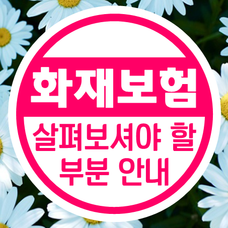  빌라화재보험 비교, 무엇을 살펴보셔야 할지 안내해 드릴게요.