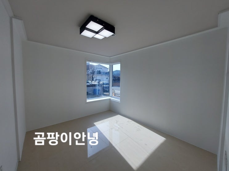  곰팡이안녕 시공 가이드 - 어떻게 곰팡이를 제거하고 방지할까?