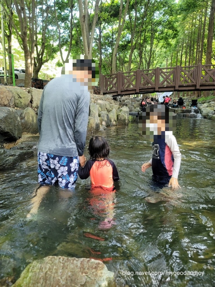 칠갑산자연휴양림 이용후기 계곡 물놀이 관리동 객실 이용 칠갑산자연휴양림 이용후기 계곡 물놀이 관리동 객실 이용