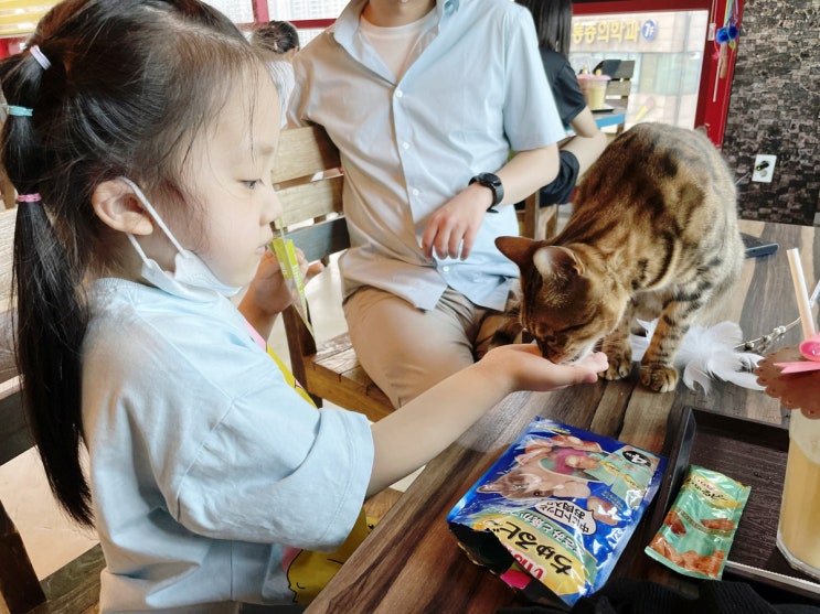 미아동 [커피타는고양이] 생애 첫 고양이카페 방문기