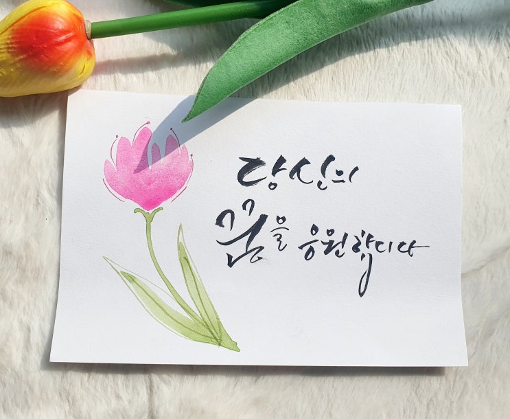  하고 싶은 대로 살아보겠습니다 유튜버 감성대디 성현규 레더쿠키즈