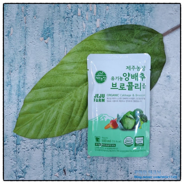  제주 양배추브로콜리즙 매일 속 쓰린 아침 식사 대용으로 좋아