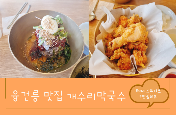  [경기 화성] 융건릉 맛집 개수리막국수 꽃메밀닭튀김 세트메뉴 후기