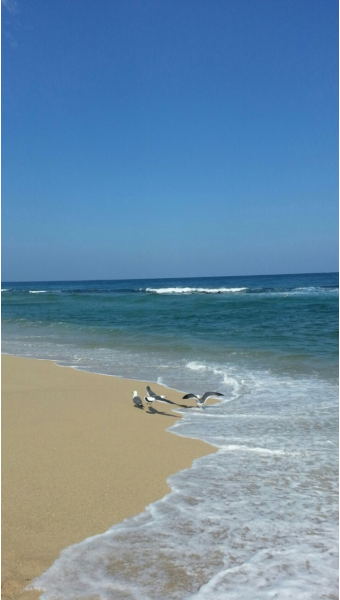  바닷가에서  -이해인