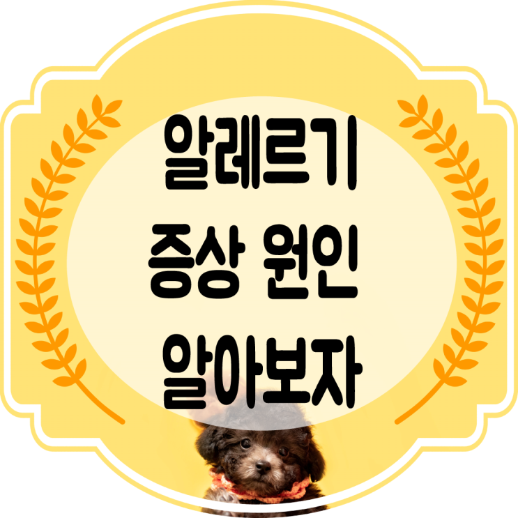  강아지알레르기 증상,  반응, 원인을 알아보자!!