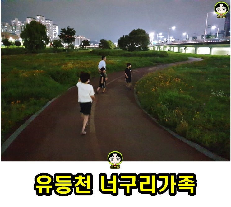  여름산책 너구리가 사는 하천 유등천