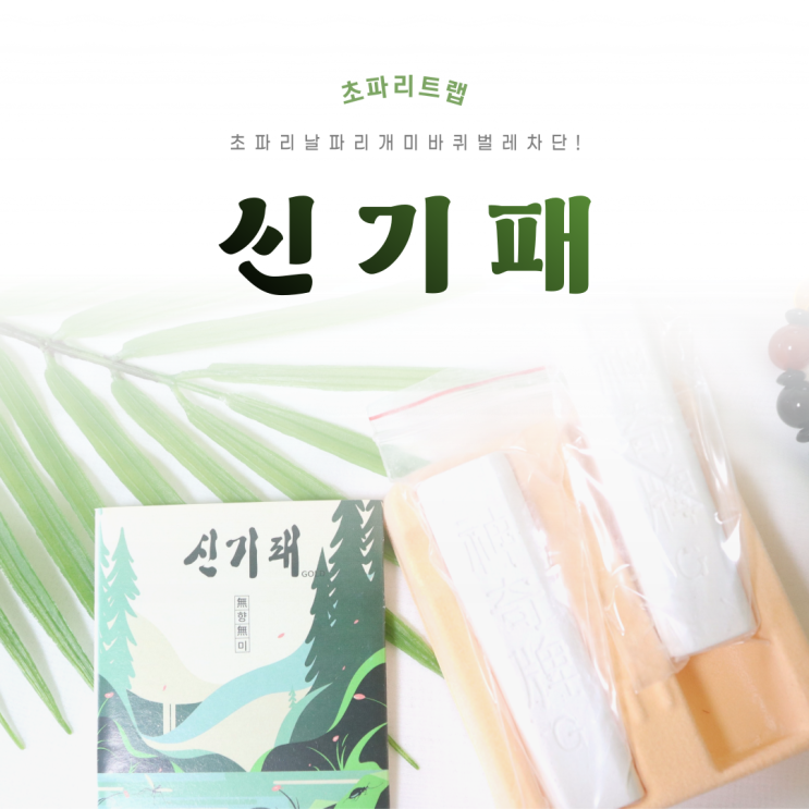  초파리트랩 신기패 지겨운 벌레 퇴치하기(ft. 개미퇴치)
