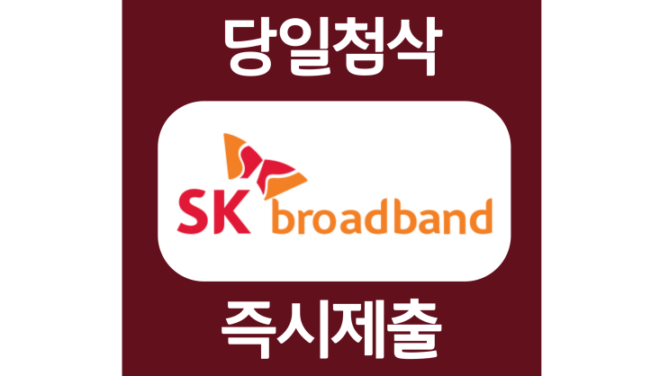 SK브로드밴드 신입 자소서항목 자기소개서 문항 작성방법 첨삭 대필 SK브로드밴드 신입 자소서항목 자기소개서 문항 작성방법 첨삭 대필