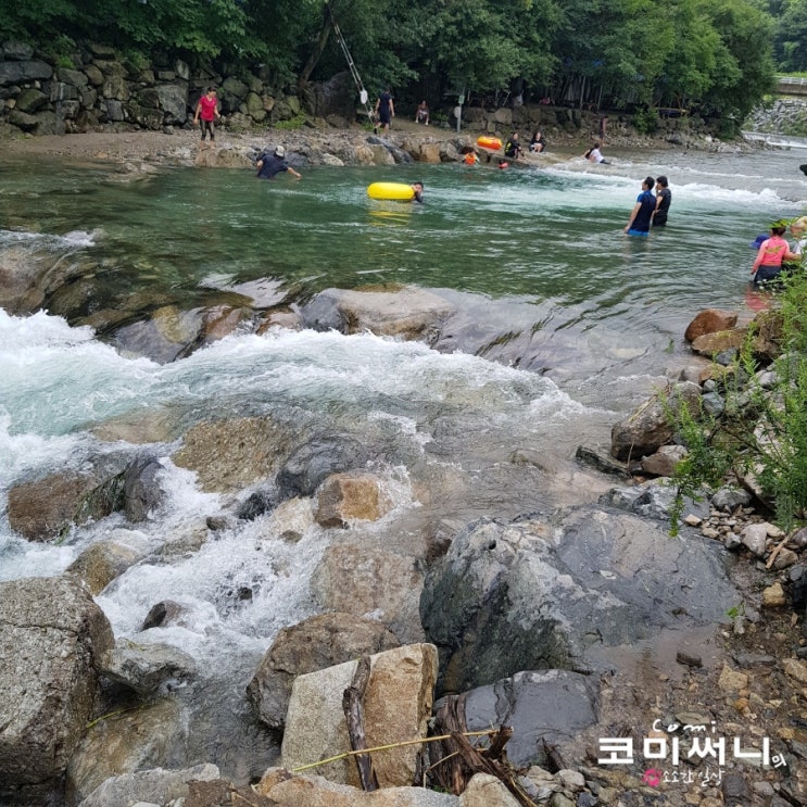 강원도 철원 담터계곡 다시 가고 싶은 물놀이장 (포천 물소리캠핑장)